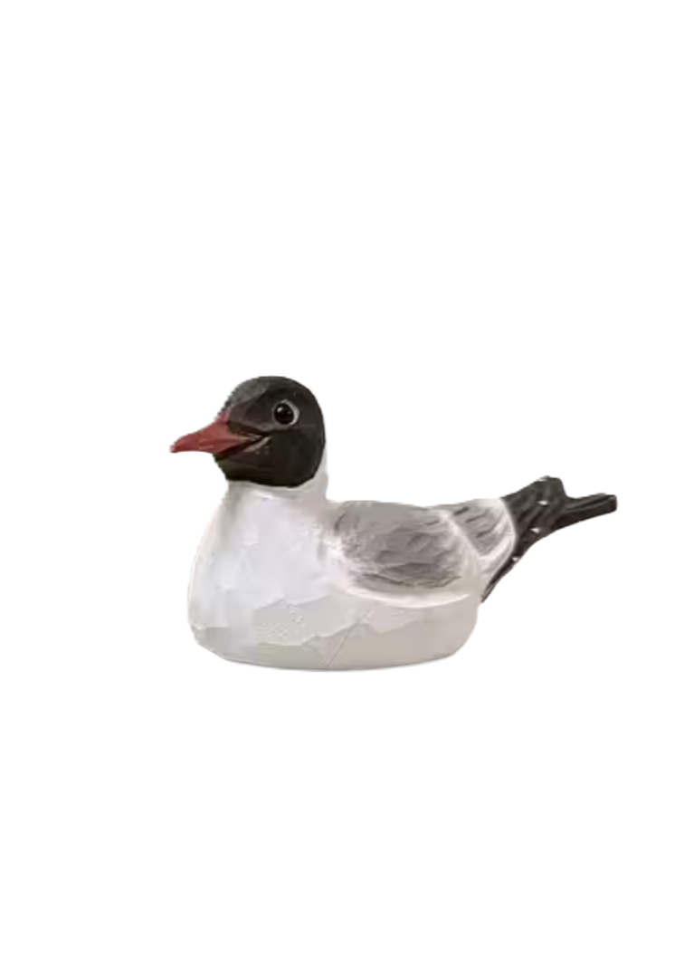 Kapsylöppnare sjöfåglar